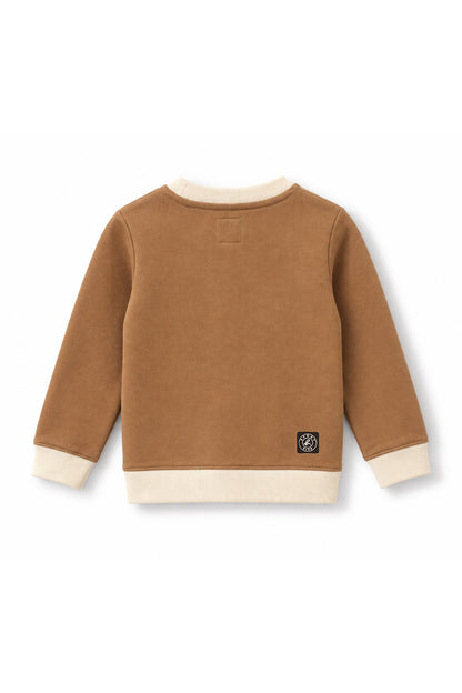 Boys Contrast Trim Running Dino Applique Sweatshirt