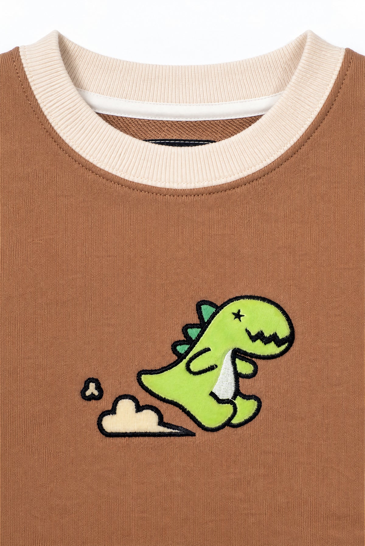 Boys Contrast Trim Running Dino Applique Sweatshirt
