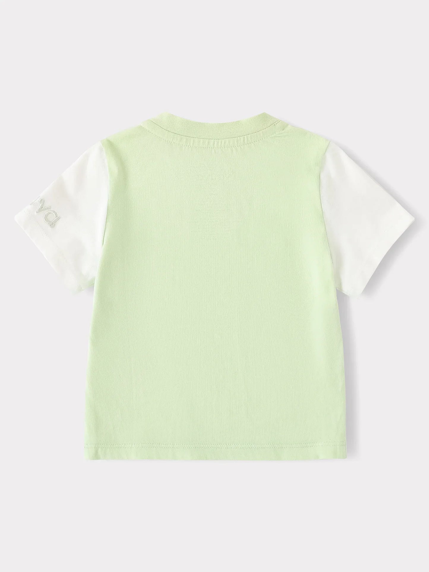 Baby Short Sleeve Tee & Dungaree Shorts Set