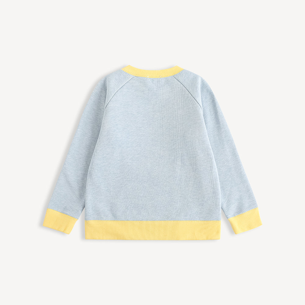 Boys Sweatshirt