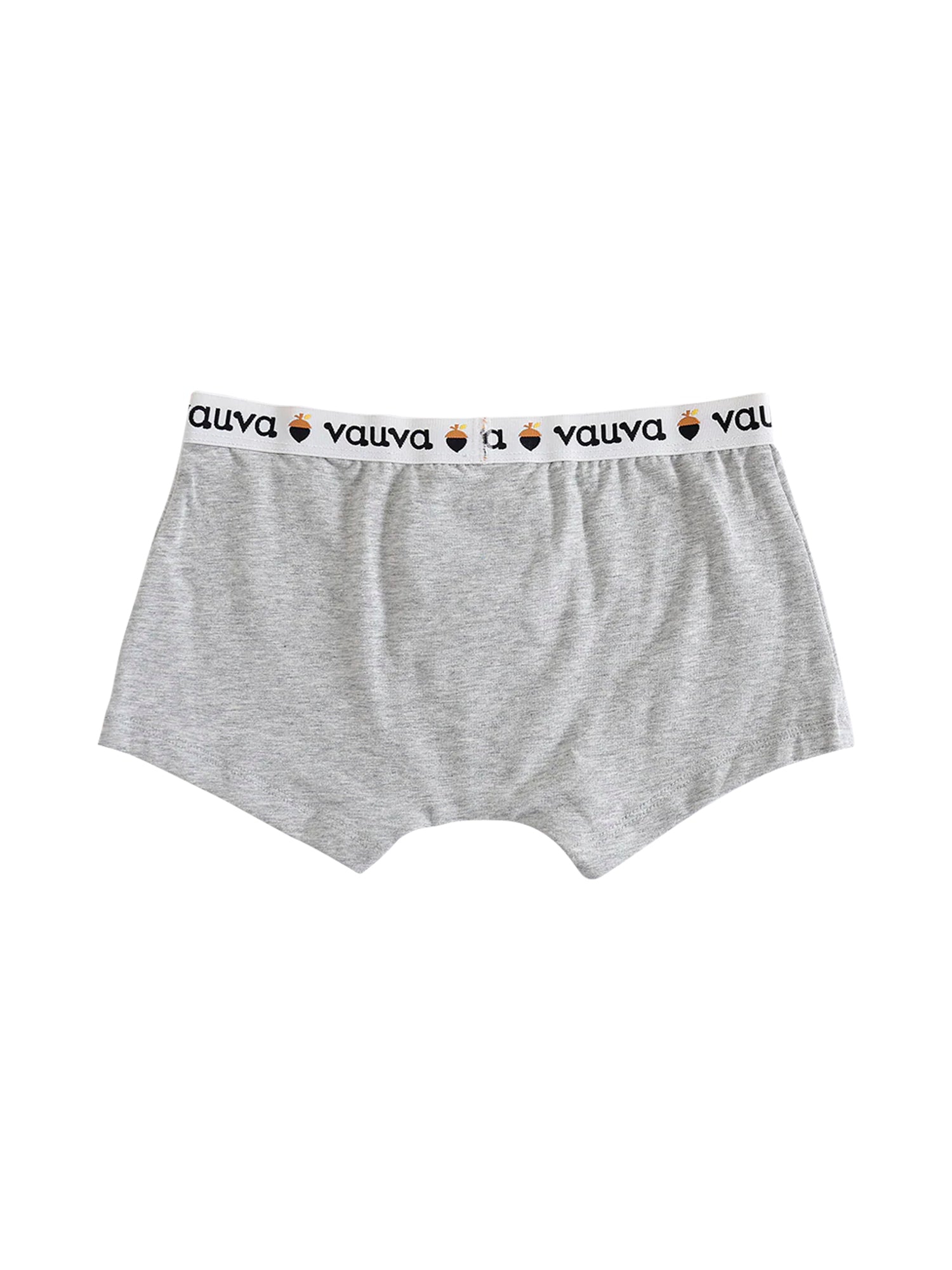 VAUVA Vauva Boys Organic Cotton Underwear (Boxers) - Vauva Blue / Grey Underwear