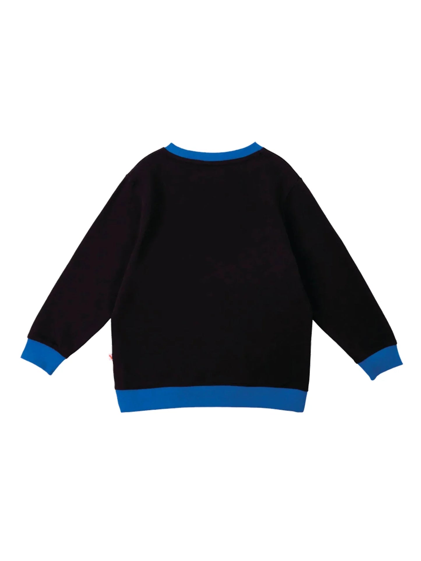 Boys Raccoon Marvelous Sweatshirt