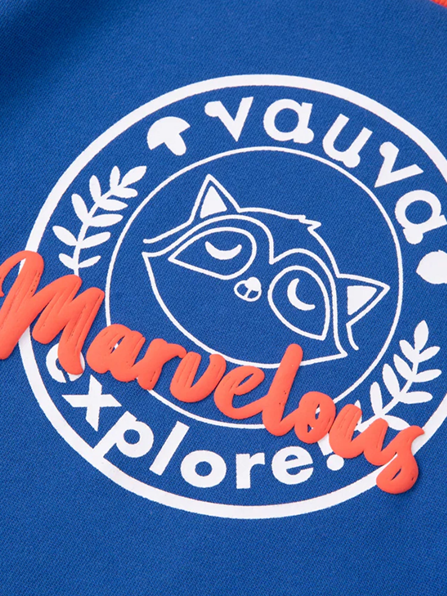 Boys Raccoon Marvelous Sweatshirt