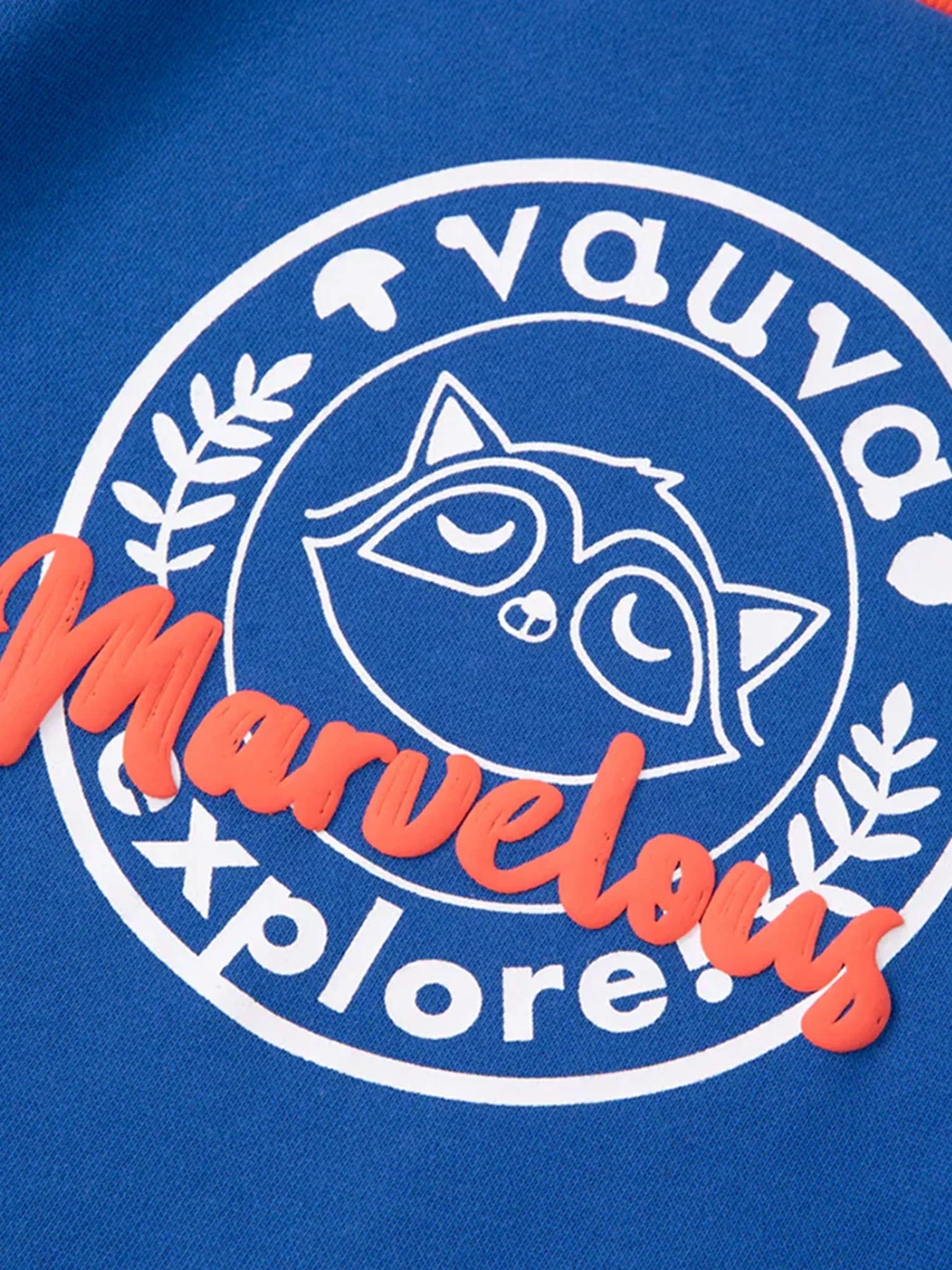 Boys Raccoon Marvelous Sweatshirt