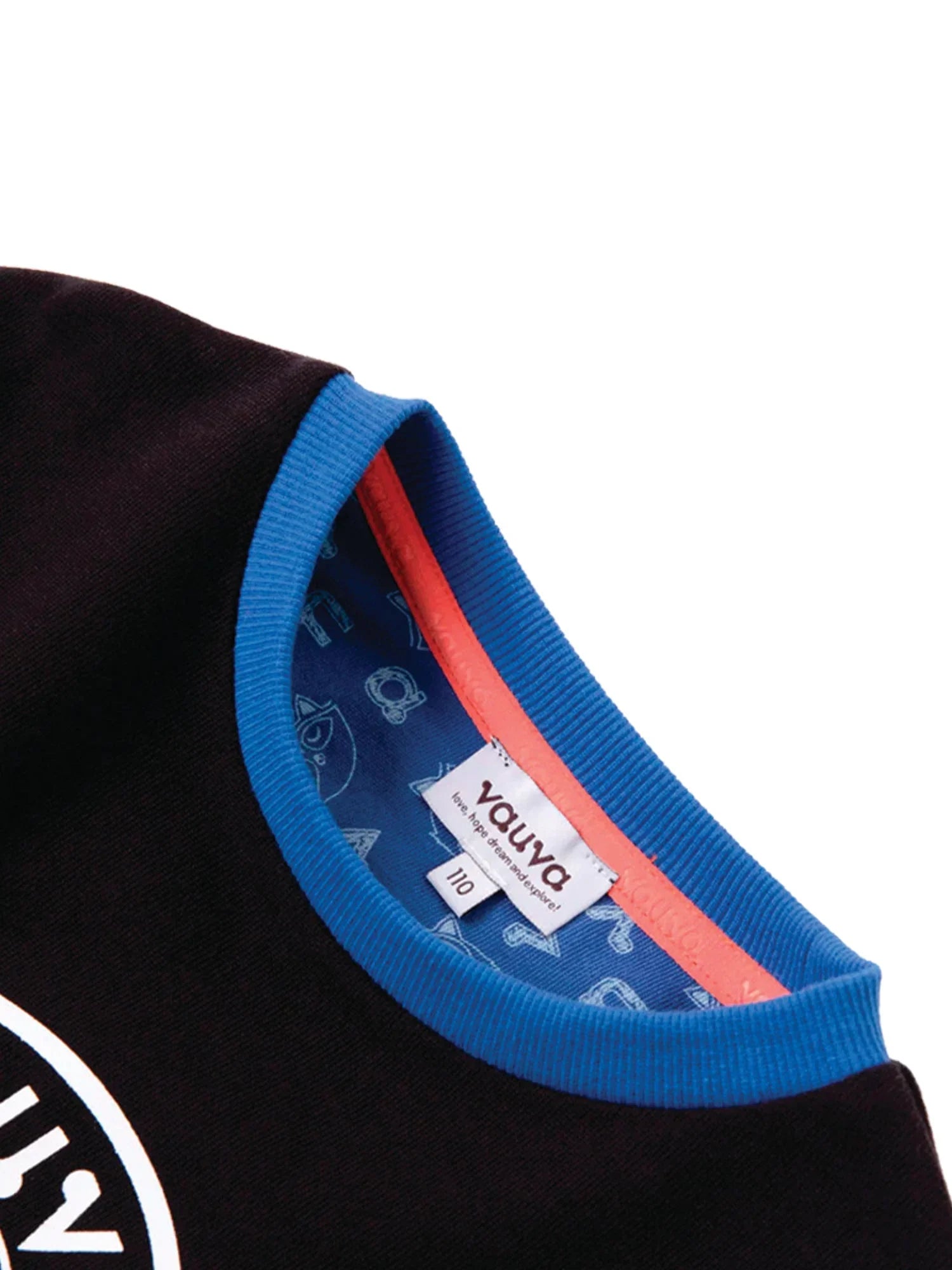 Boys Raccoon Marvelous Sweatshirt