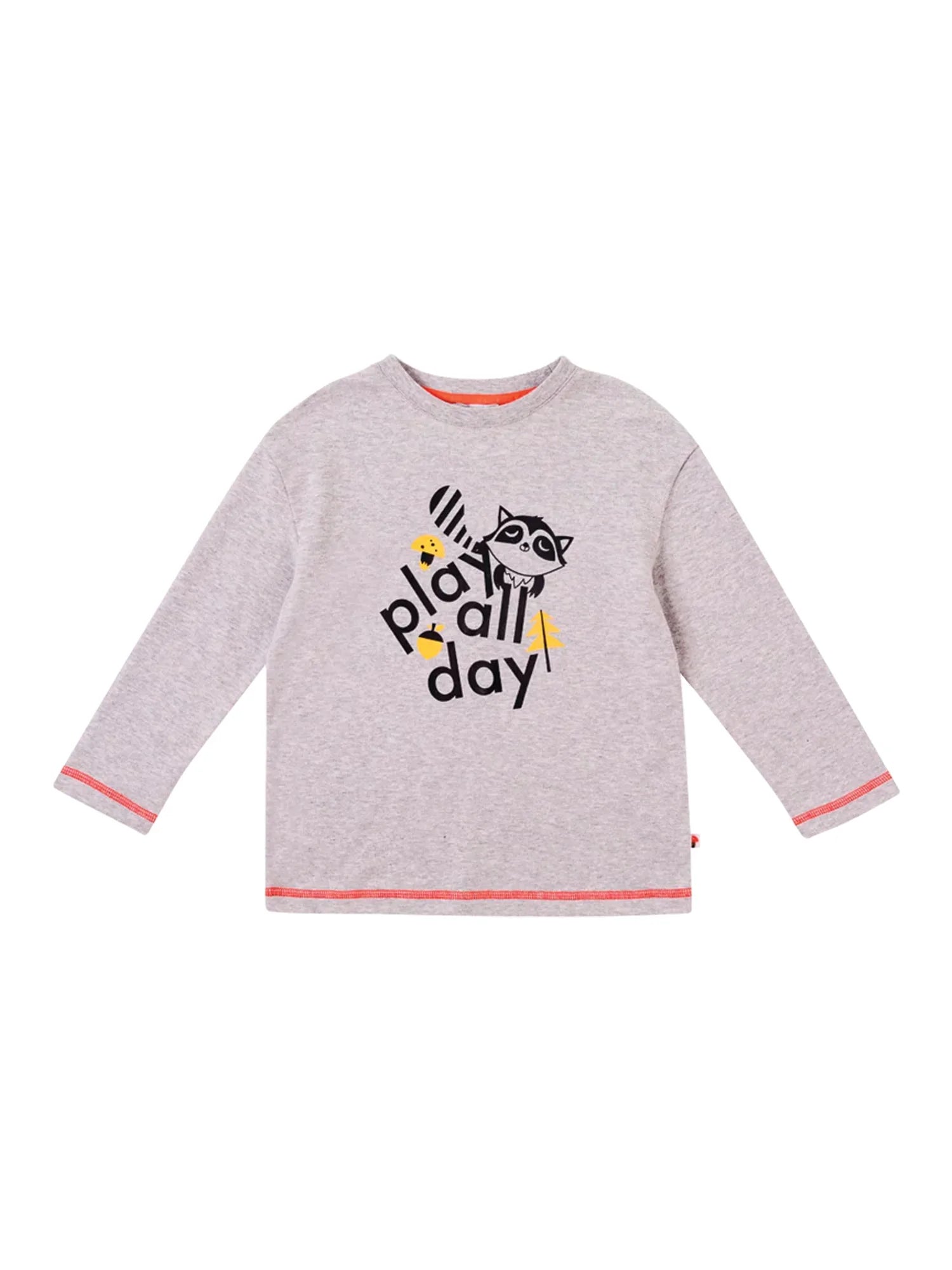 Boys Raccoon Play All Day Long Sleeves Tee