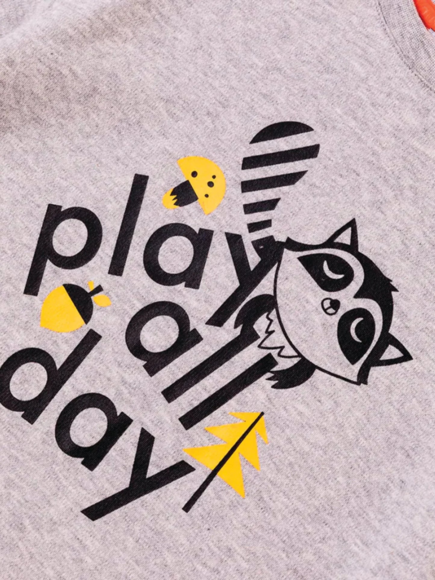 Boys Raccoon Play All Day Long Sleeves Tee