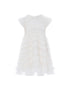 Amara Ruffle Sleeve Dress