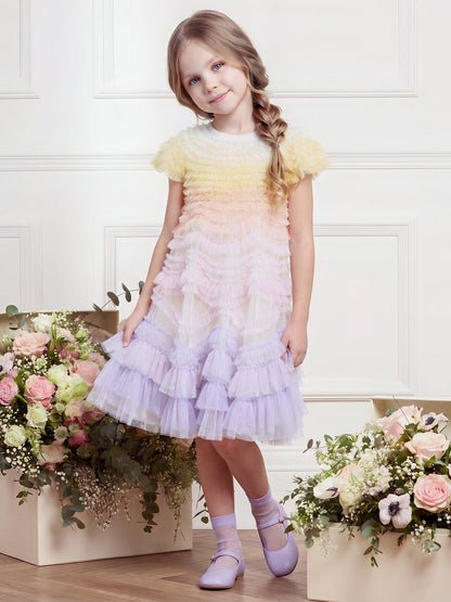 Wild Rose Ombre Dress