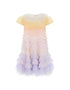 Wild Rose Ombre Dress