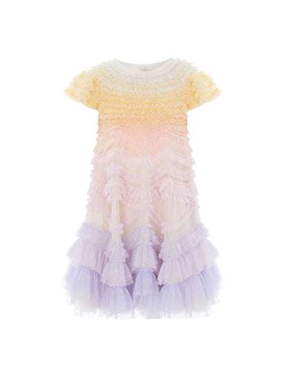 Wild Rose Ombre Dress
