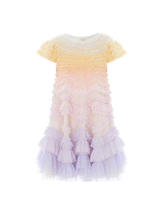 Wild Rose Ombre Dress