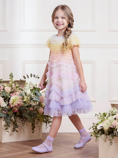 Wild Rose Ombre Dress