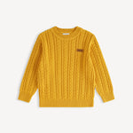 Boys Woolen Sweater