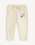 Embroidered Fill Trouseres