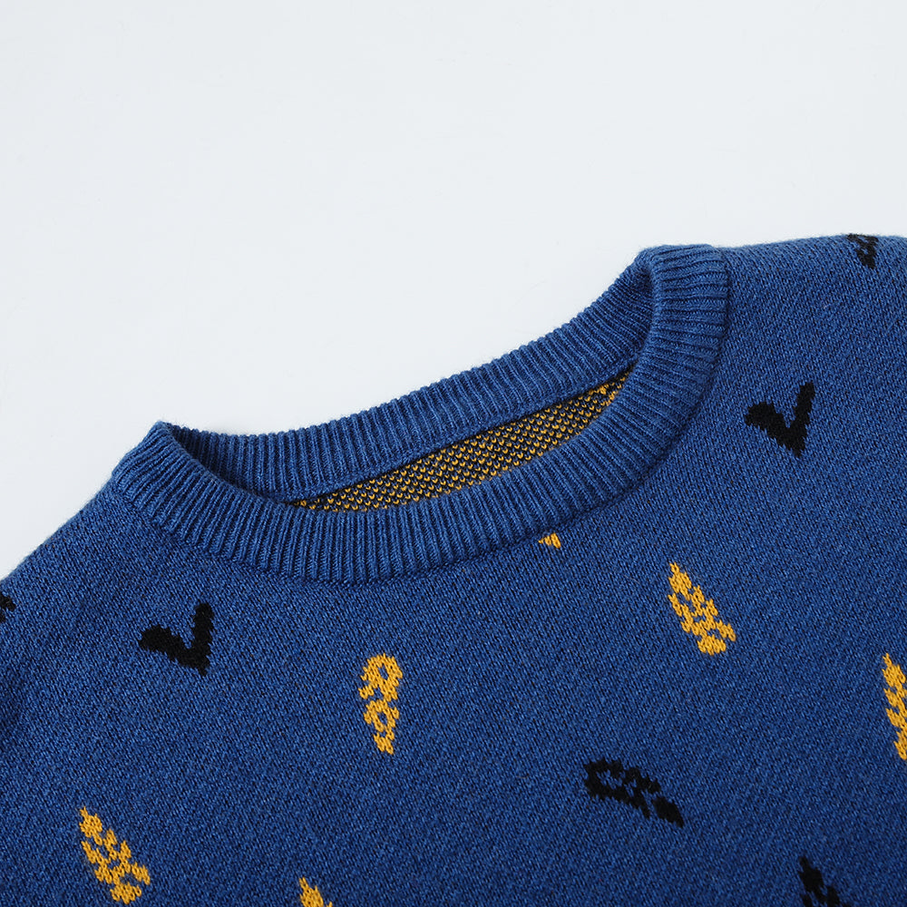 Vauva FW23 - Boys Embroidered Cotton Pullover (Blue)-product image close up