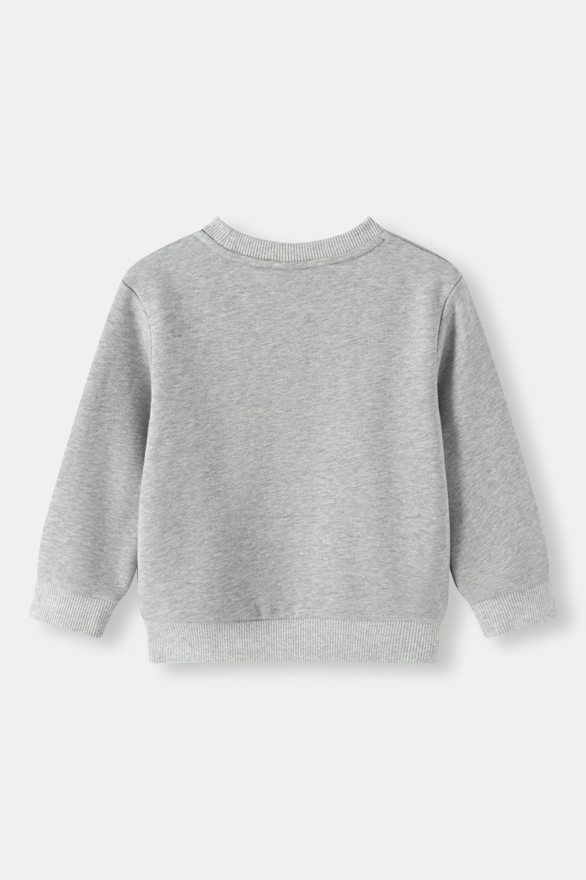Kids Pinecone Floral Graphic Fleece Sweatshirt