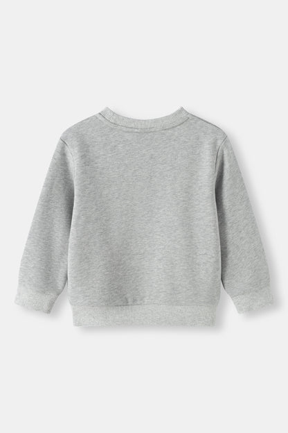 Kids Pinecone Floral Graphic Fleece Sweatshirt