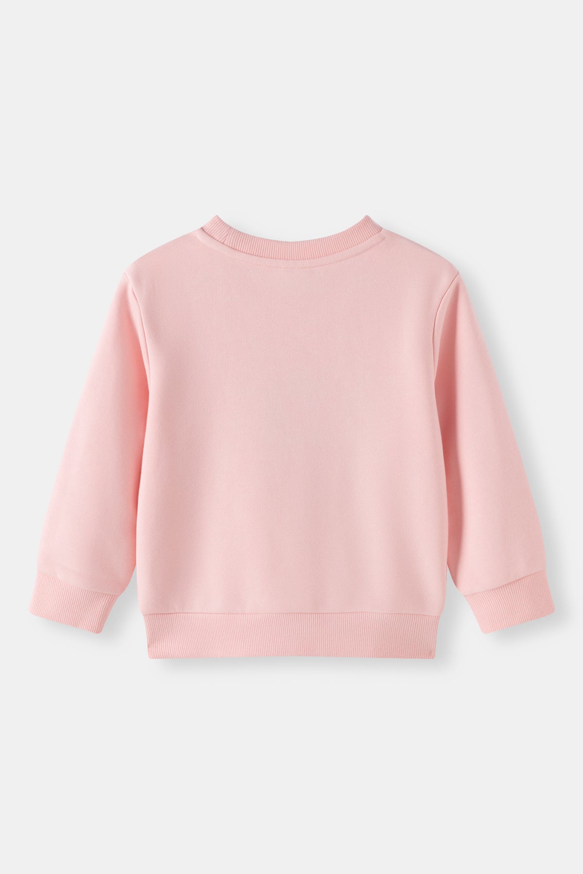Kids Pinecone Floral Graphic Fleece Sweatshirt