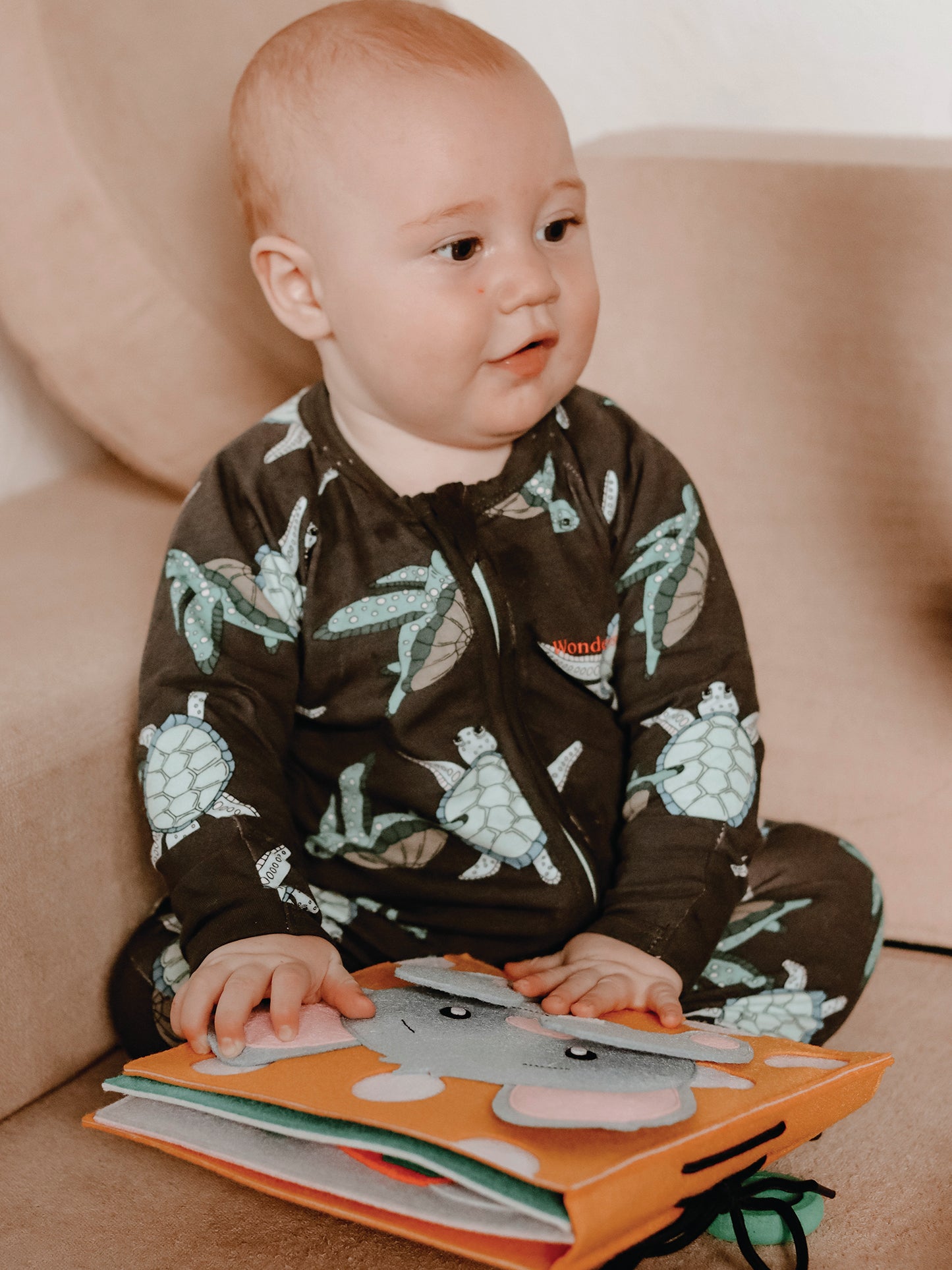 Mighty Mouse Baby And Toddler Book