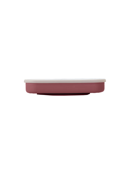 Silicone Rainbow Plates With Lid