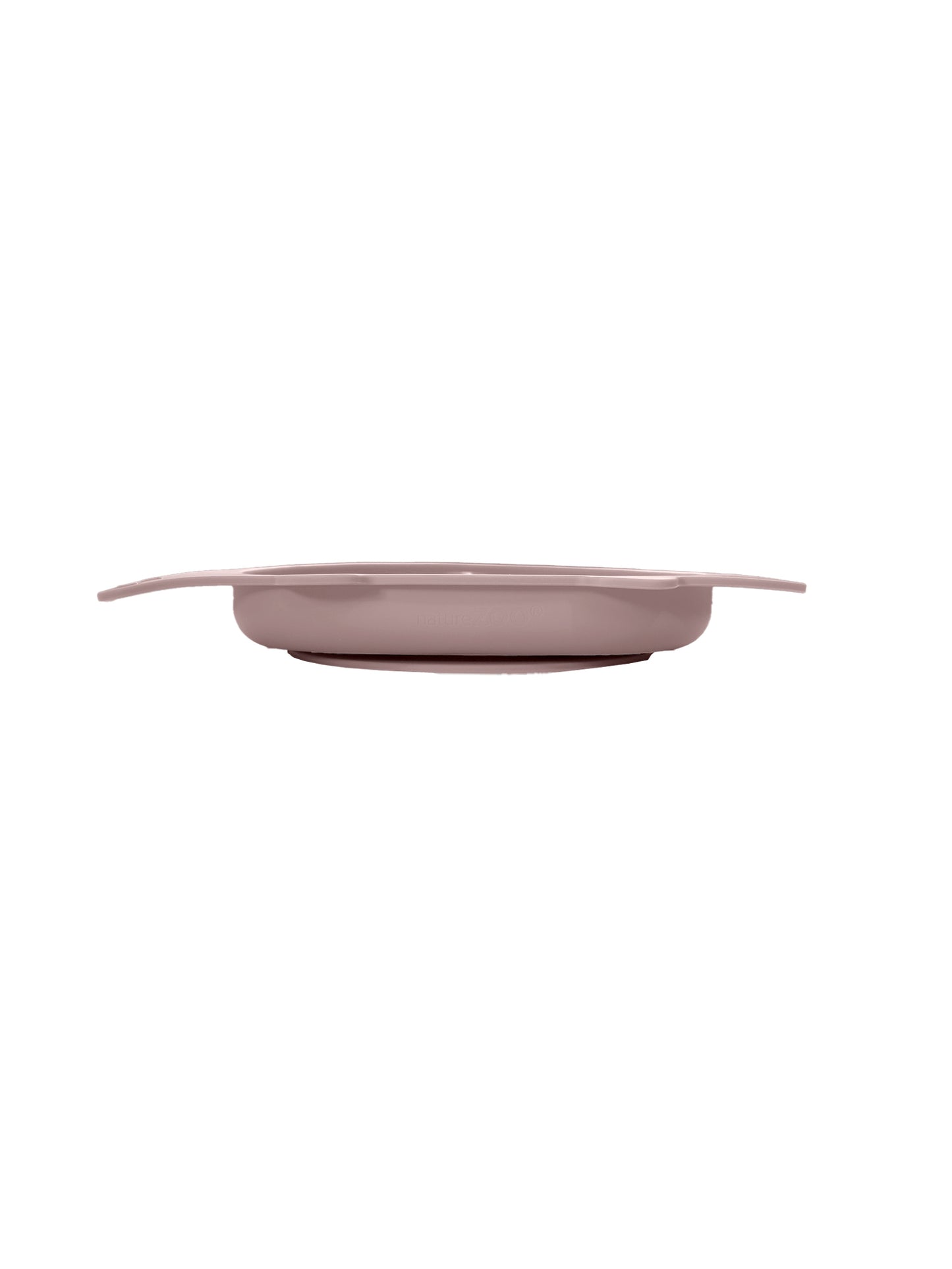 Silicone Dinosaur Plates