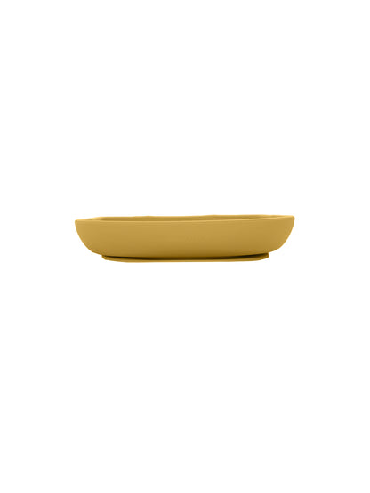 Silicone Cat Plate