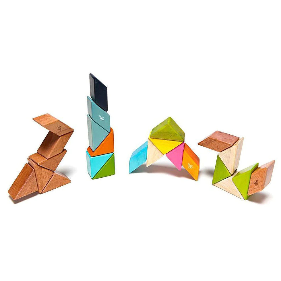 Tegu Tegu - Pocket Pouch Prism (Tints) Wooden Toy