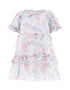 Pompadour Garden Chiffon Smocked Baby Dress