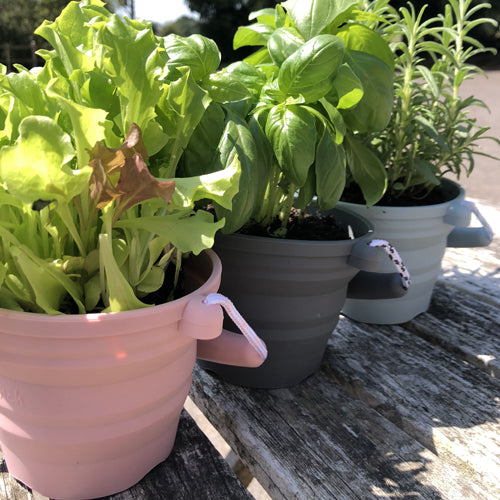 Scrunch - Seedling Pot with Trowel (Pale Lavender) - My Little Korner