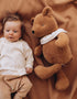 Soft Toy - With Collar Teddy