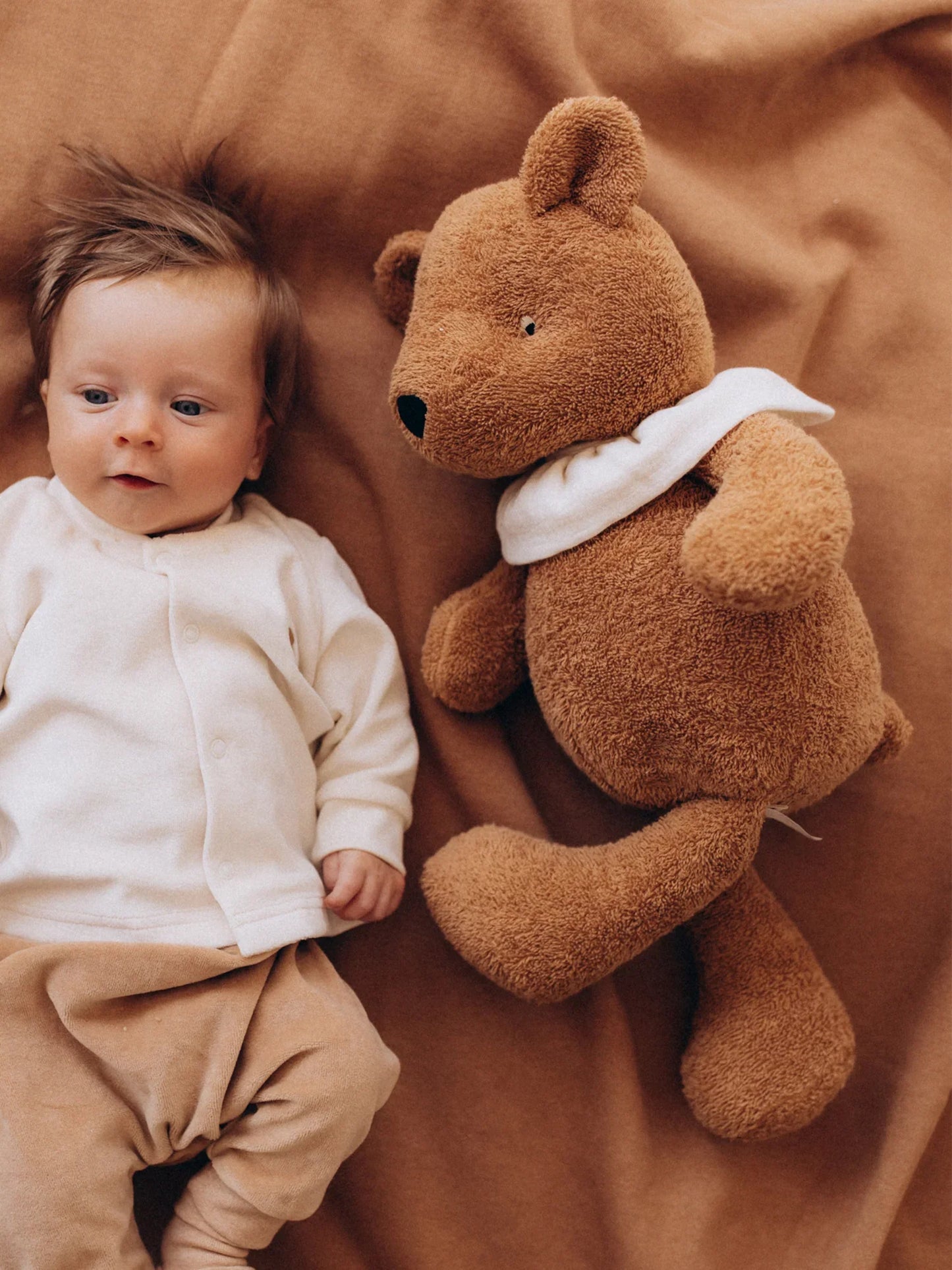 Soft Toy - With Collar Teddy