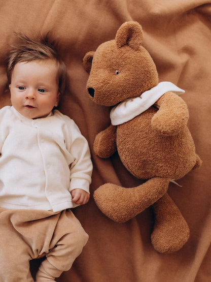 Soft Toy - With Collar Teddy