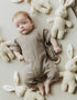 Rattle – Bunny