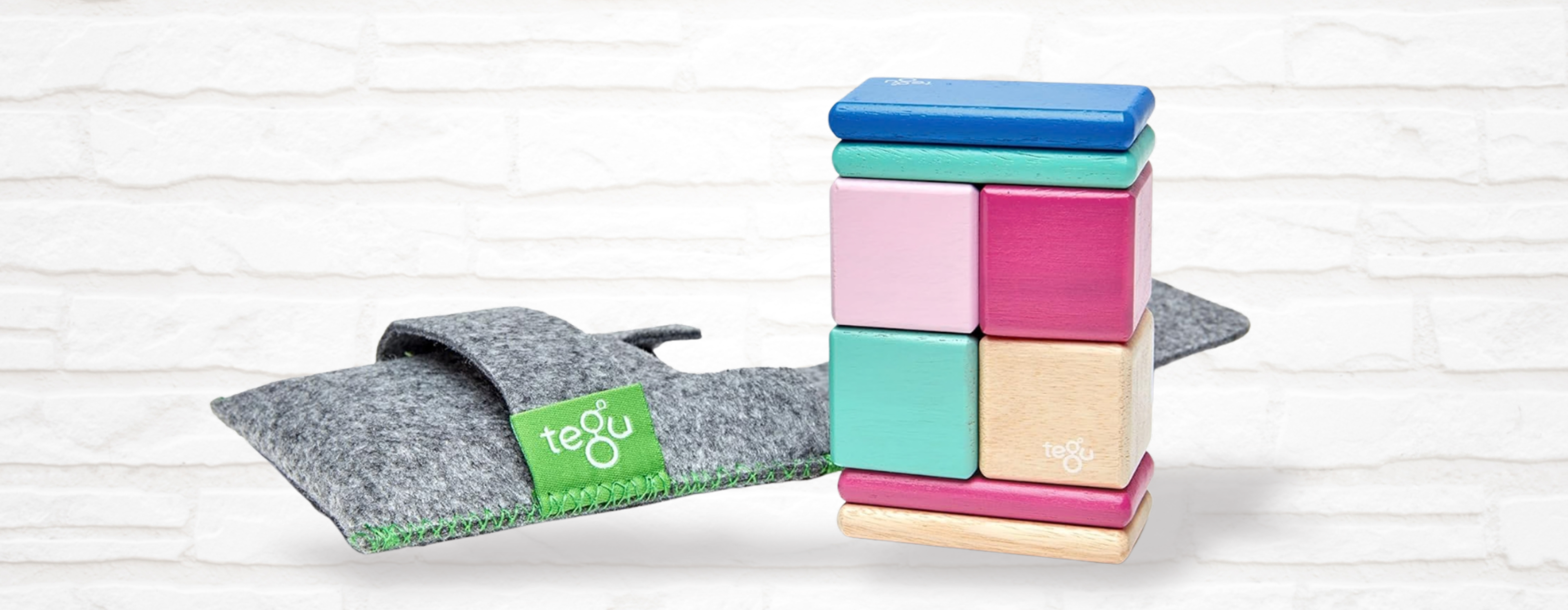 Tegu – Freedom to Imagine