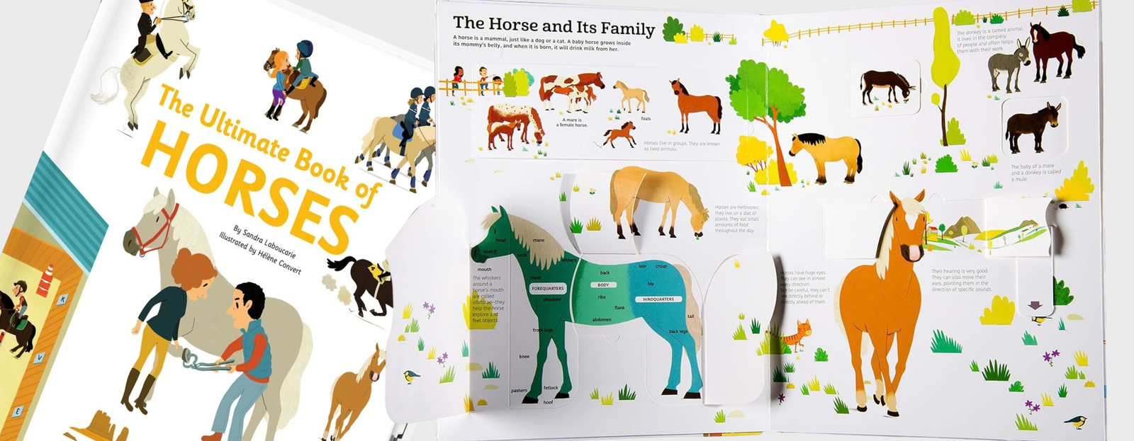 Twirl – Playful Books that Spark Discovery