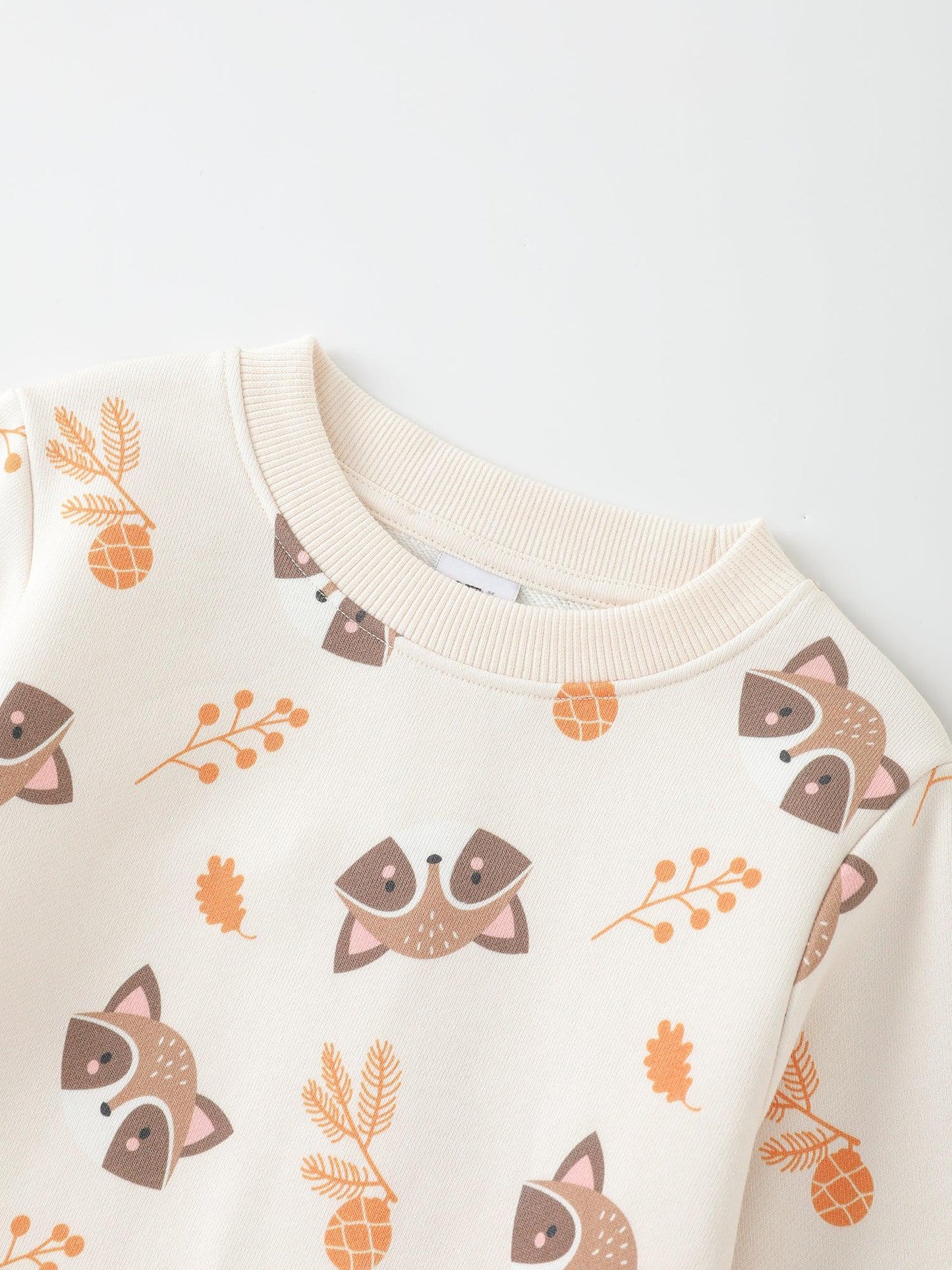 Boys' Sweatshirt
