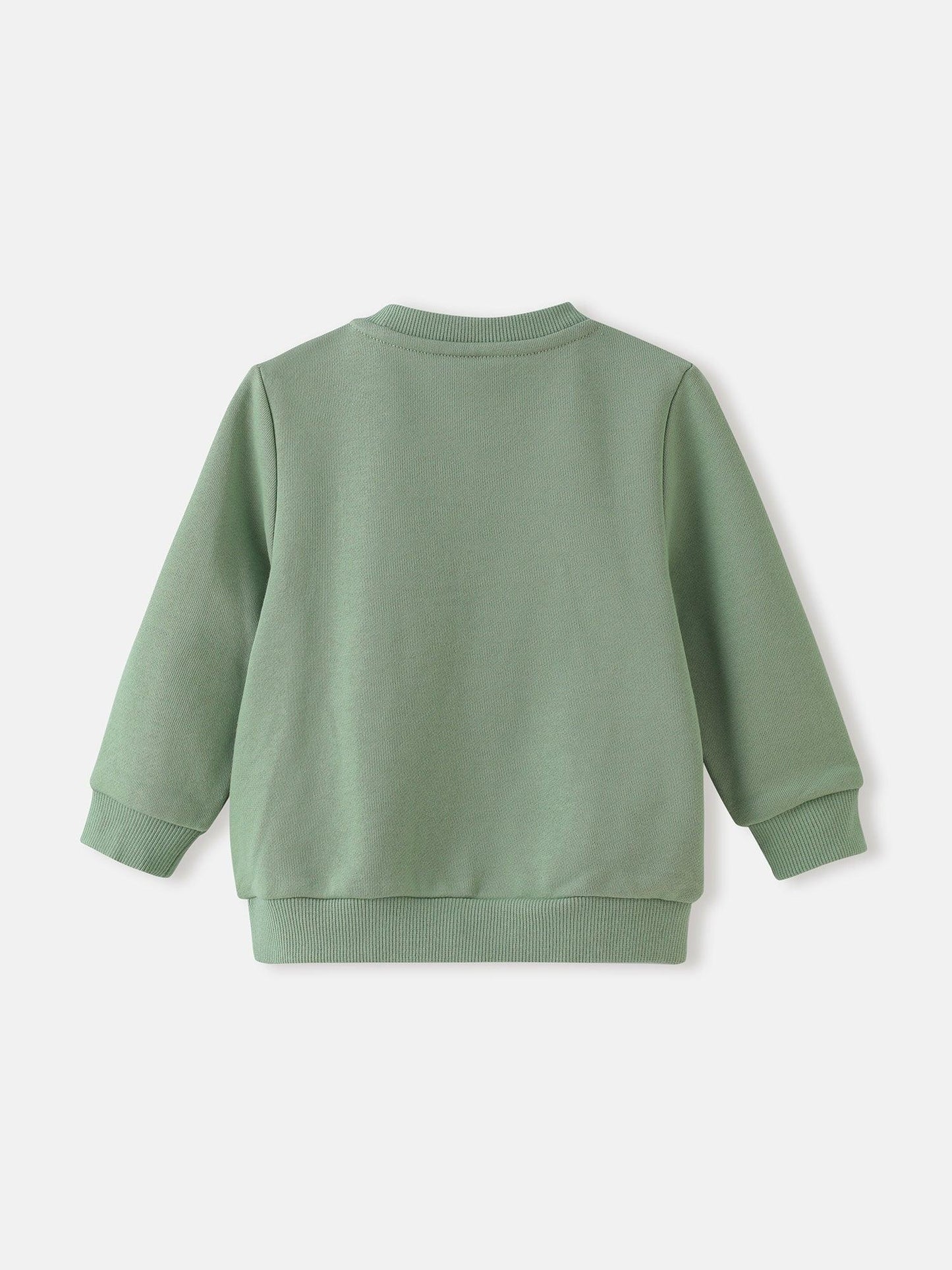 Baby Boys' Sweatshirt