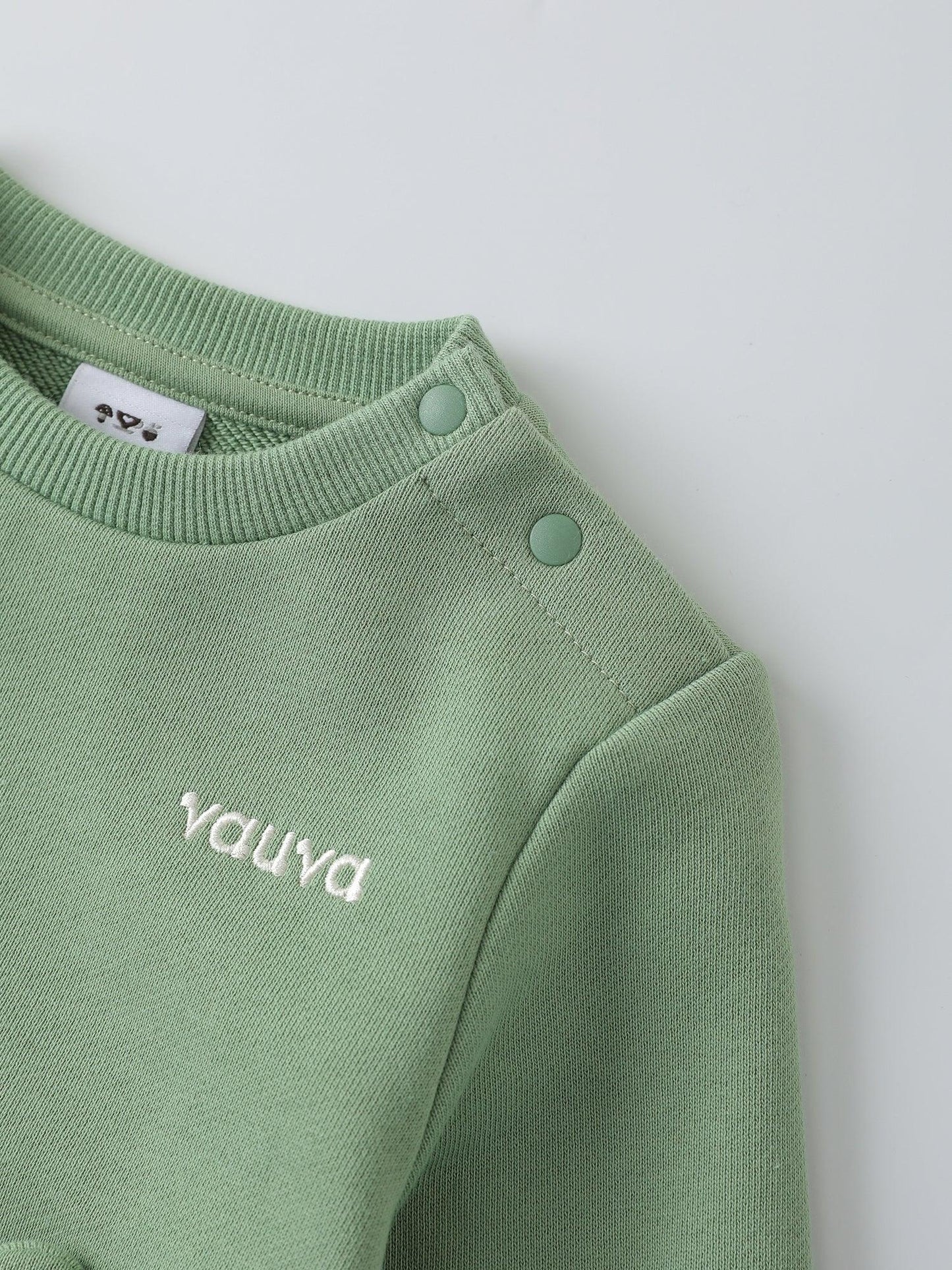 Baby Boys' Sweatshirt