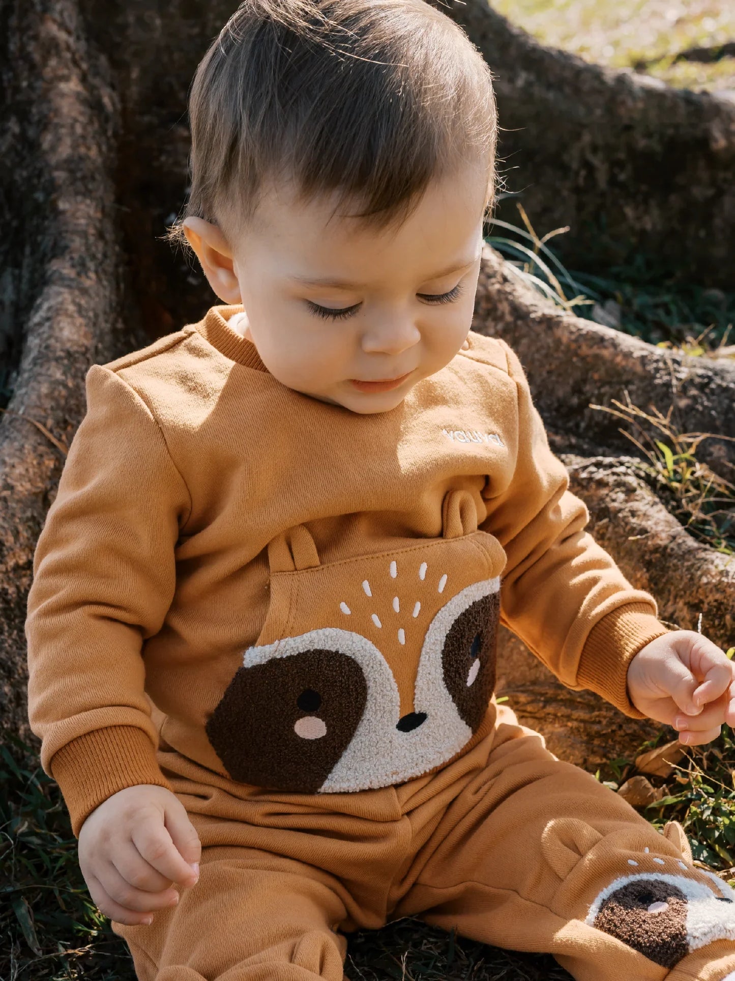 Baby Boys' Sweatshirt
