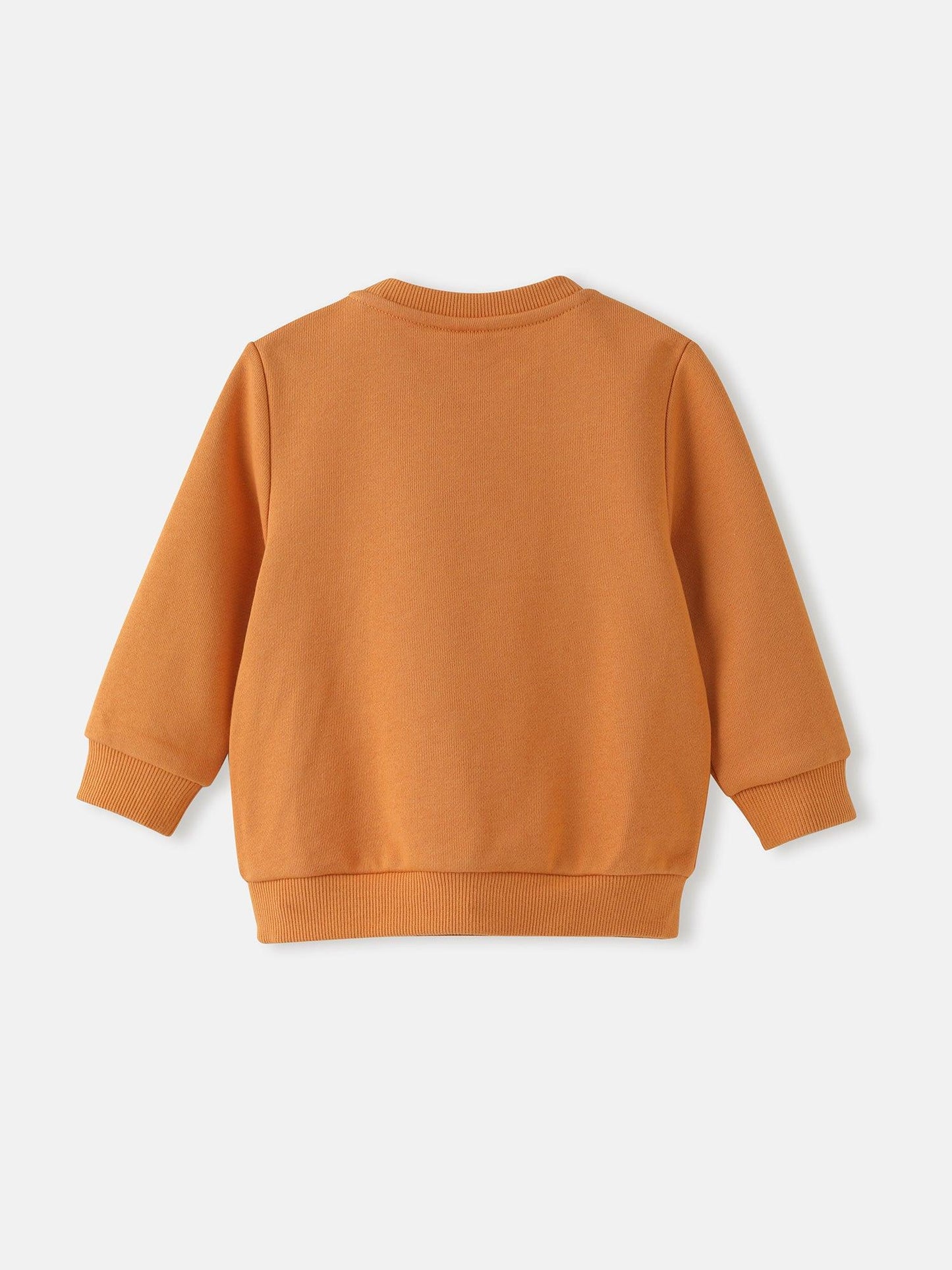 Baby Boys' Sweatshirt