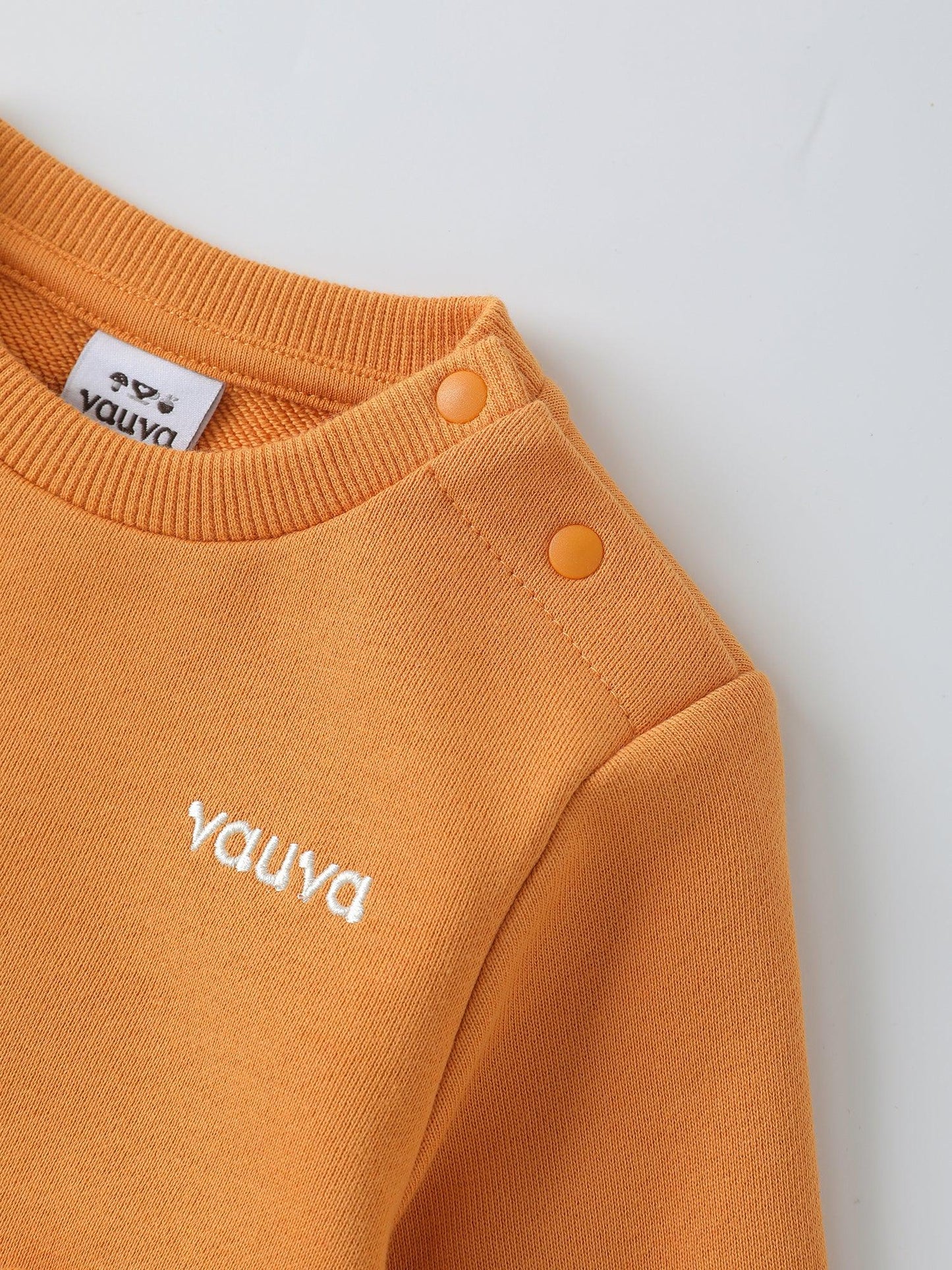 Baby Boys' Sweatshirt