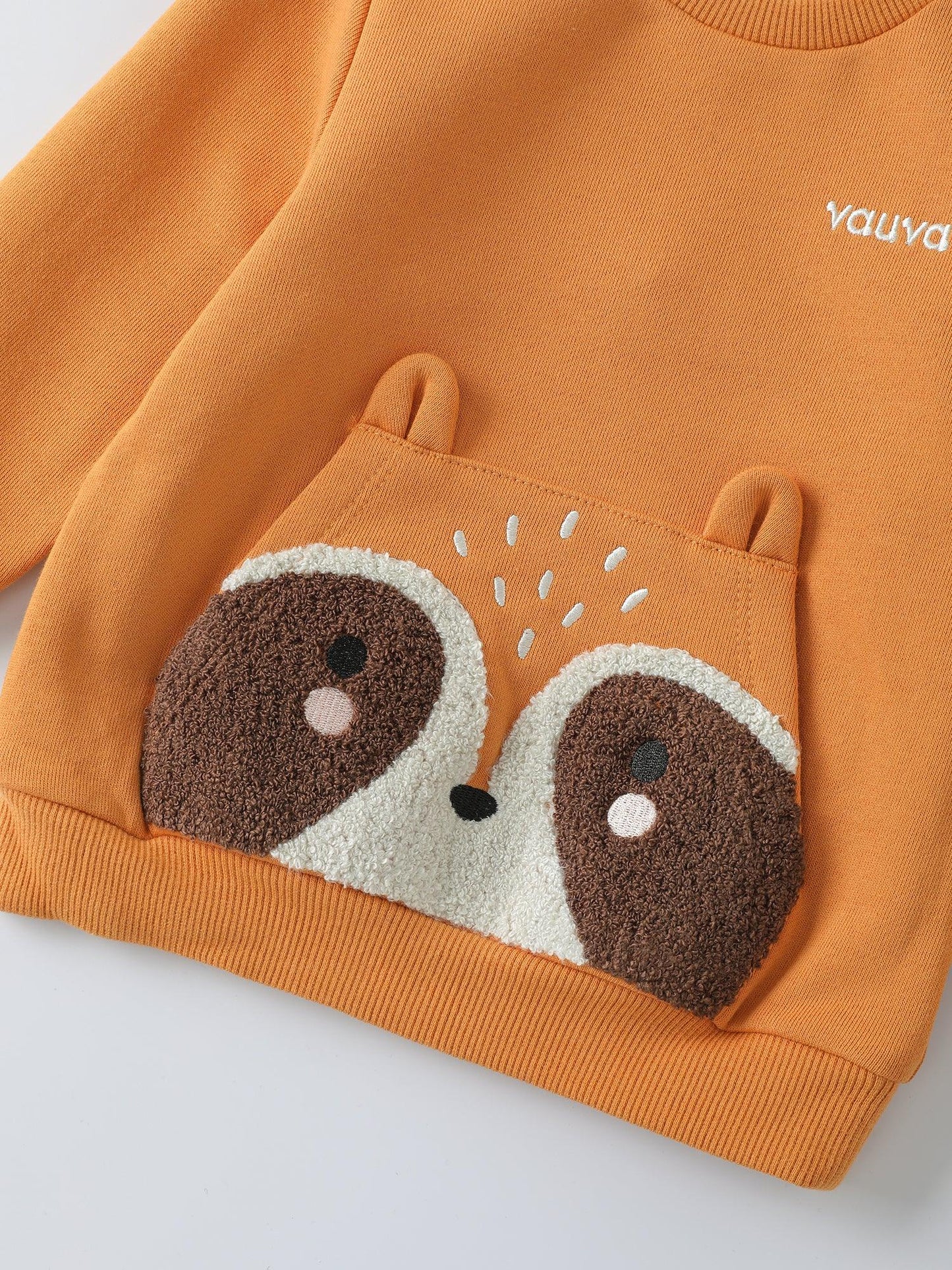 Baby Boys' Sweatshirt