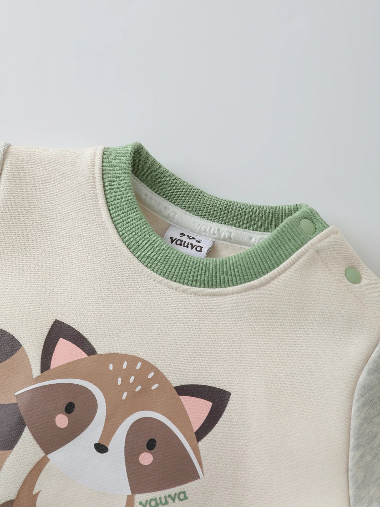 Baby Boys' Sweatshirt