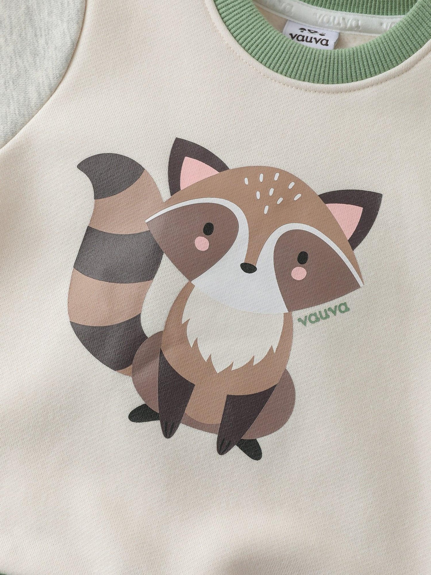Baby Boys' Sweatshirt