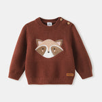 Baby Boys' Sweater