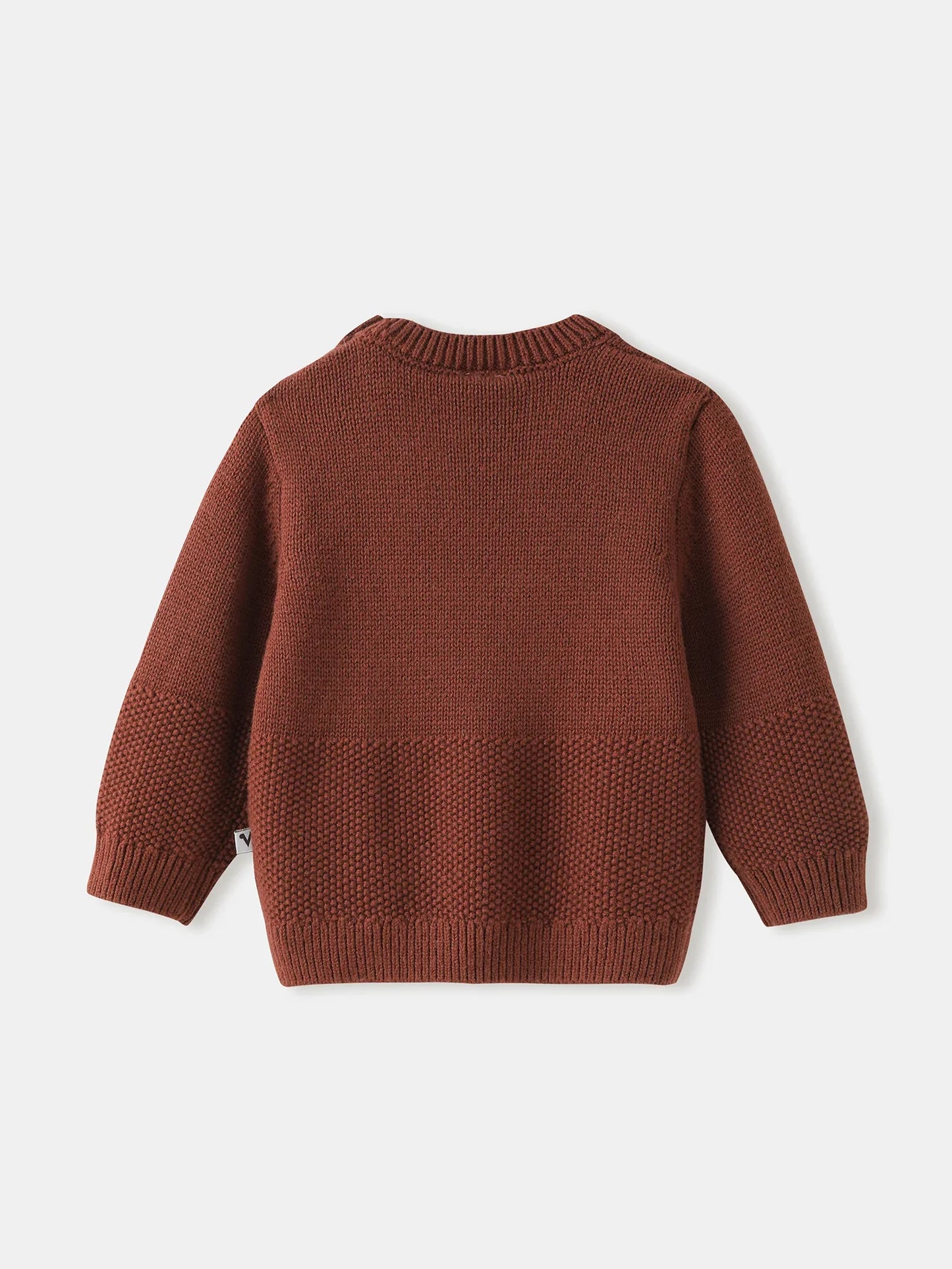 Baby Boys' Graphic Knit Sweater
