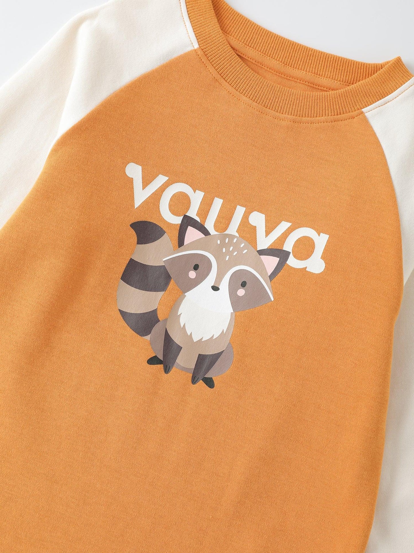 Boys' Raglan Long‑Sleeve T‑Shirt