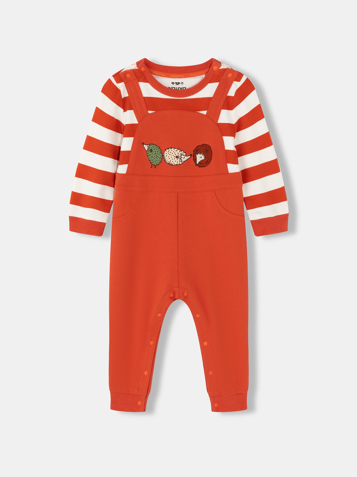Baby Boys Hedgehog Print Embroidered Dungaree Bodysuit