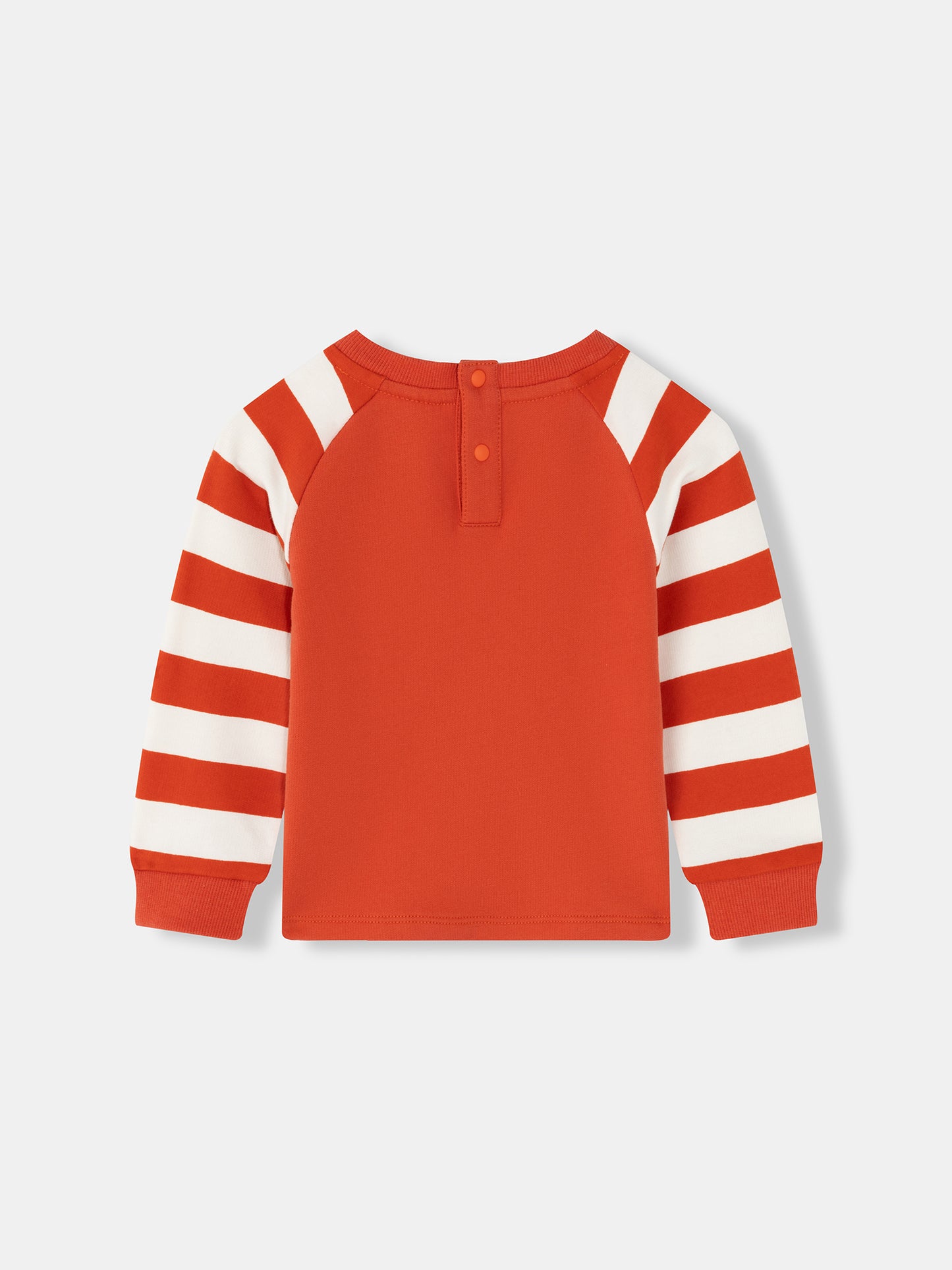 Baby Boys Hedgehog Print Raglan Long Sleeve T-Shirt